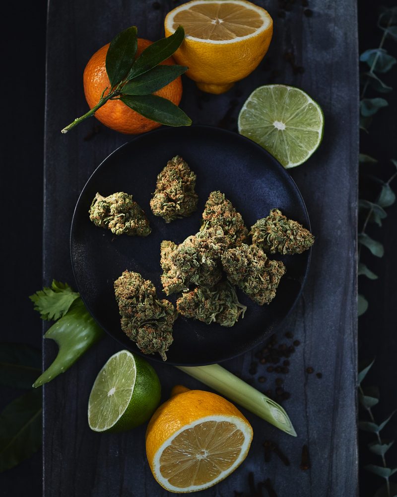 produits_FS_ZXFPOG__fleurs_sechees_5points_Cannabis_Innovation